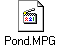 Pond.MPG