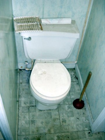 beforepicoftoliet.jpg