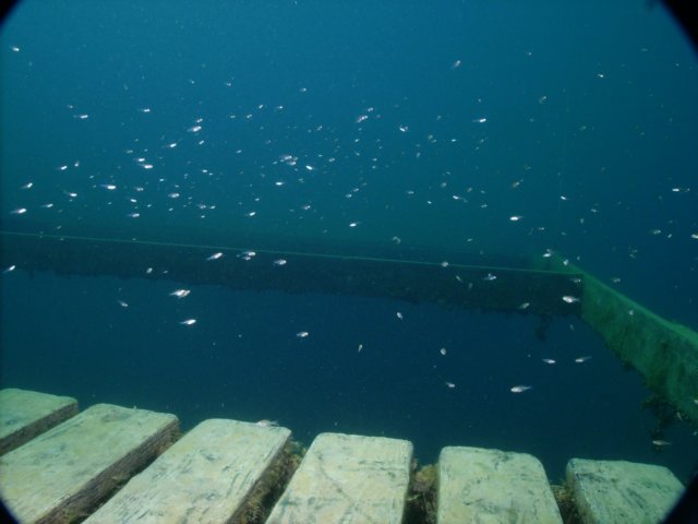 pict0105.jpg