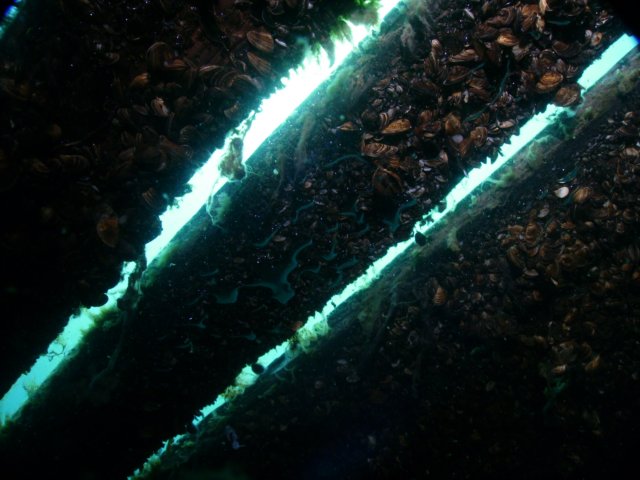 pict0114.jpg