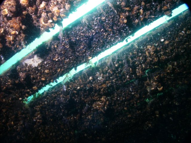 pict0115.jpg
