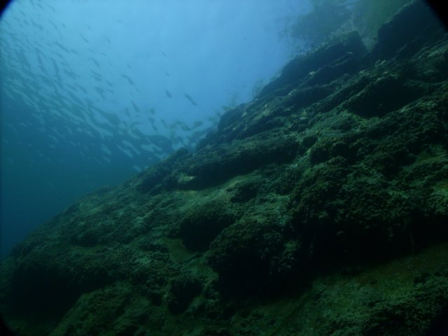 pict0165.jpg