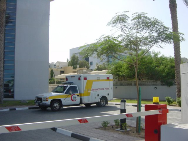 dubaipolicecar.jpg