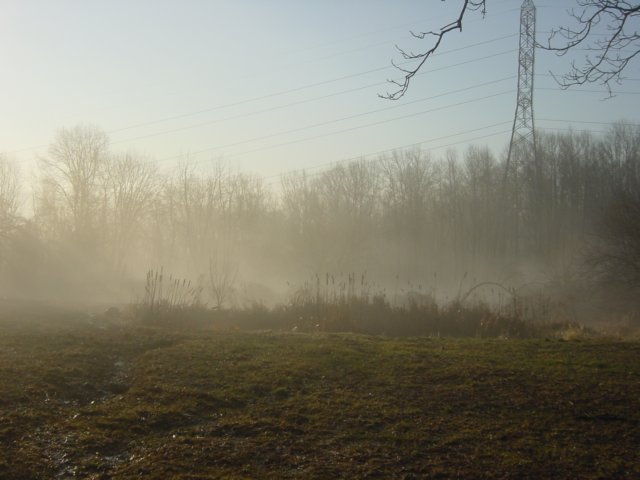 misty005.jpg