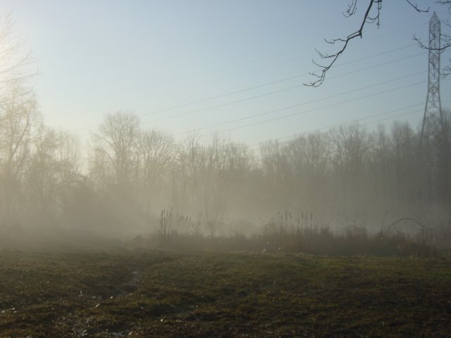 misty06.jpg