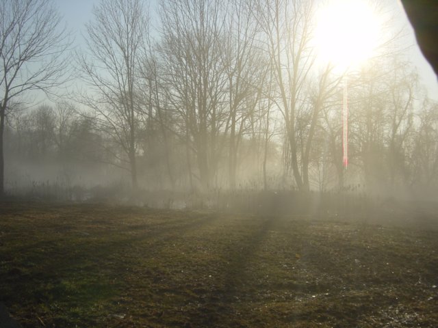 misty08.jpg