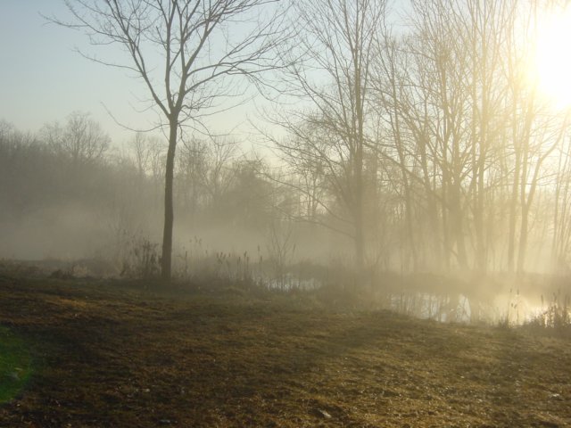 misty09.jpg