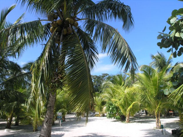 pb294771.jpg