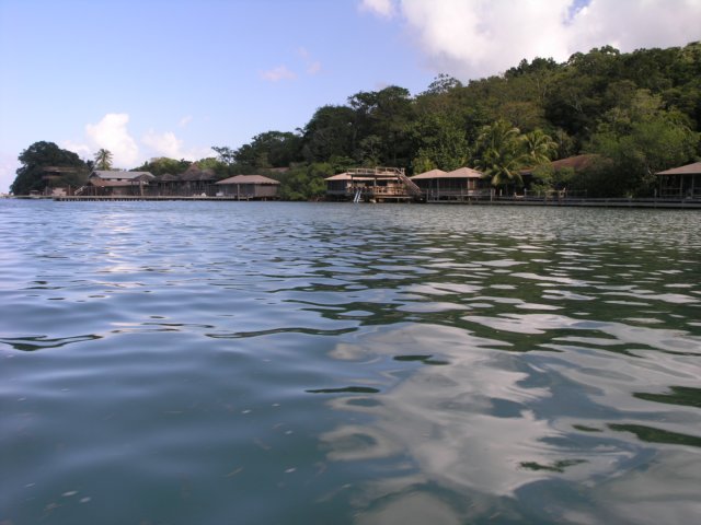 pb294776.jpg
