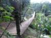 pc014925_small.jpg
