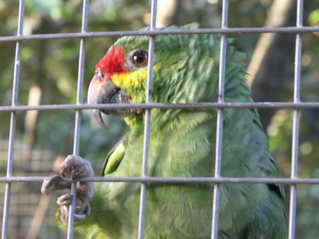 pc014943.jpg