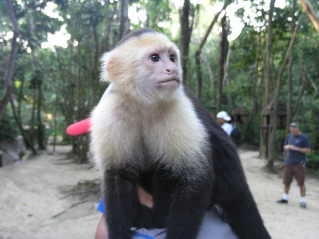 pc014959.jpg