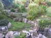 pc014986_small.jpg