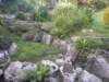 pc014988_small.jpg