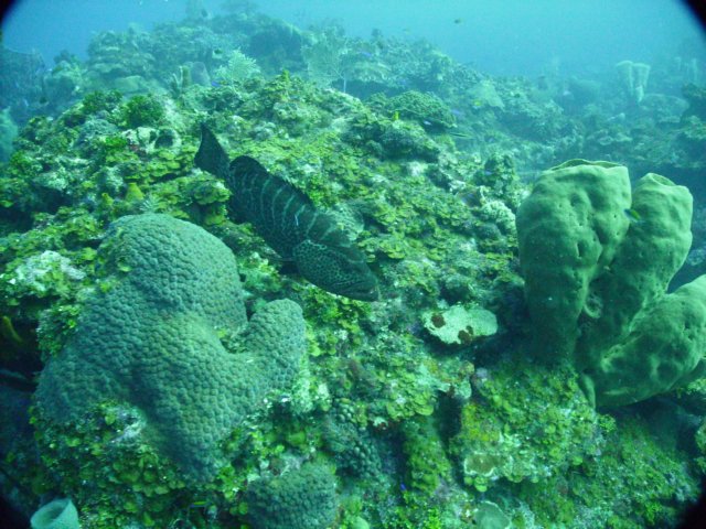 pict0032.jpg