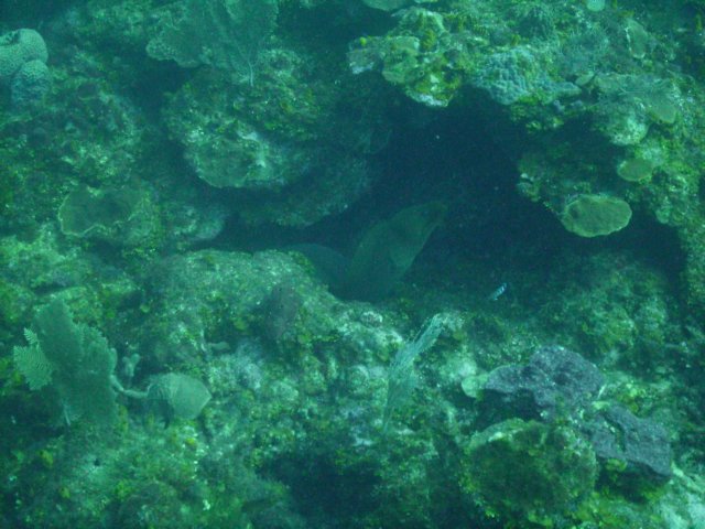 pict0036.jpg