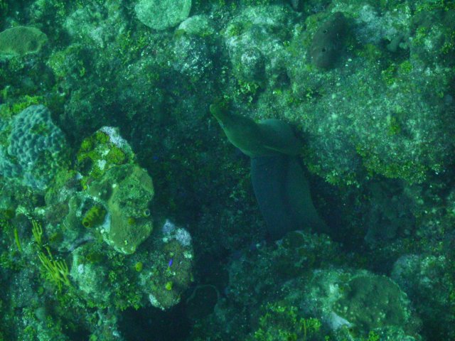 pict0041.jpg