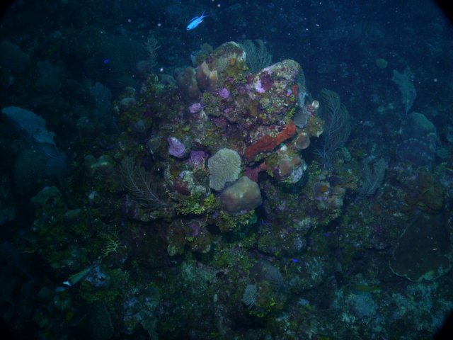 pict0049.jpg