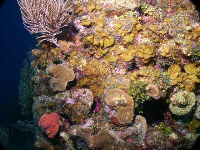 pict00512.jpg