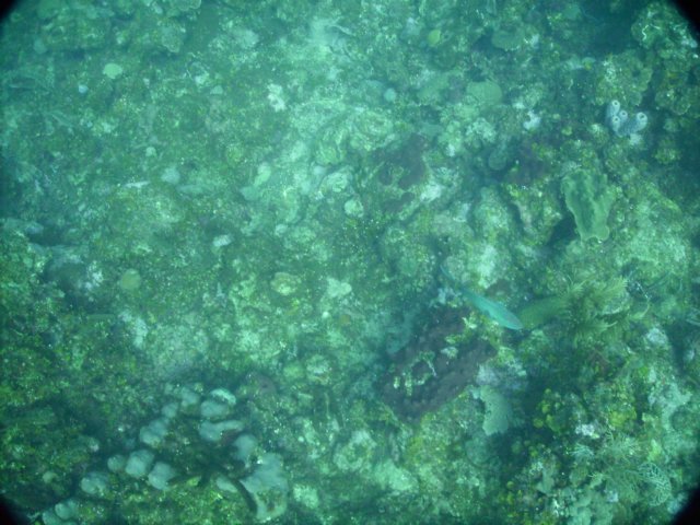 pict00532.jpg