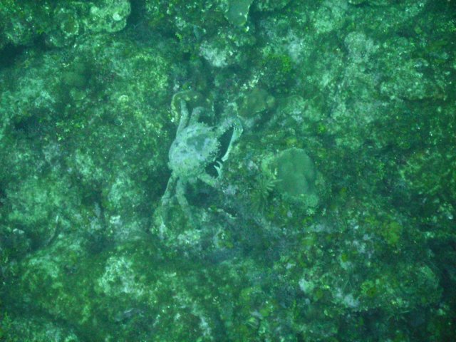 pict0055.jpg