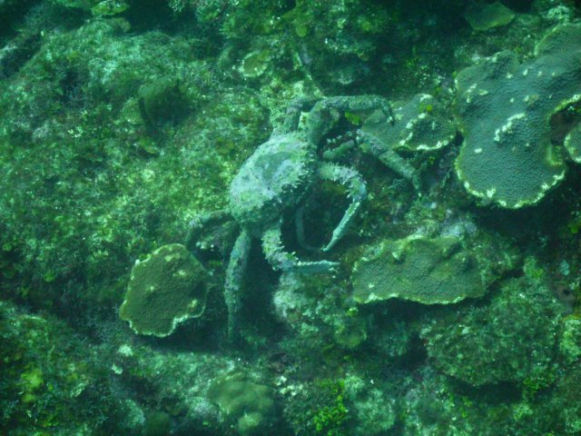 pict0058.jpg