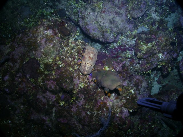 pict0066.jpg