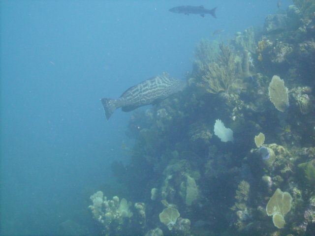 pict0072.jpg