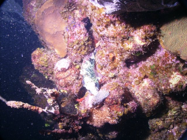 pict0079.jpg