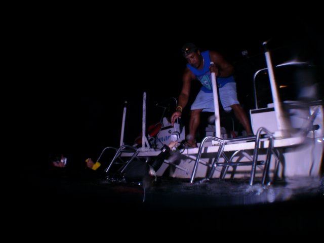 pict0081.jpg