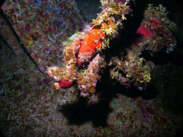 pict0095.jpg