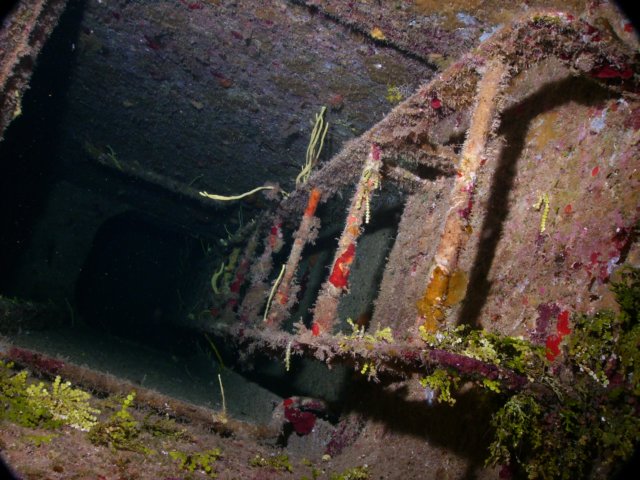 pict0097.jpg