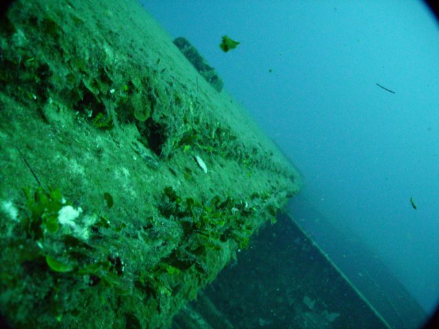 pict0100.jpg