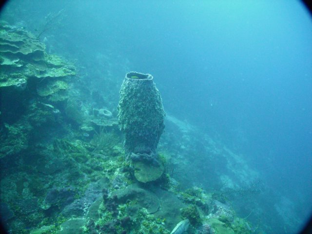 pict01082.jpg