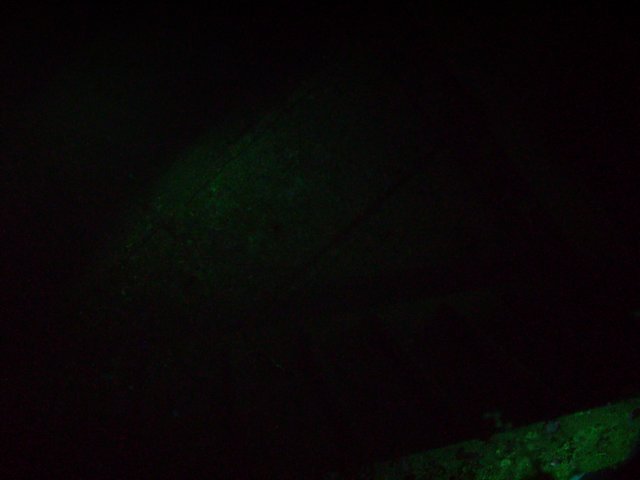 pict0116.jpg