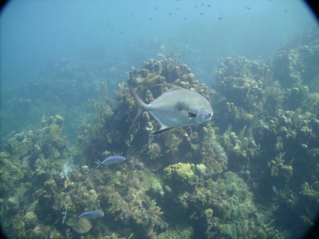 pict01172.jpg