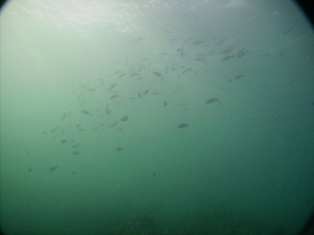 pict0121.jpg