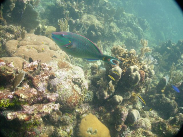 pict01212.jpg