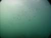 pict0121_small.jpg