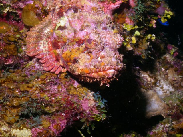 pict0123.jpg