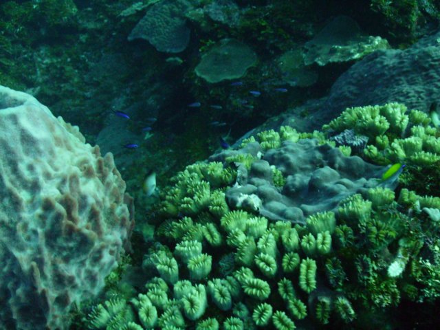 pict01262.jpg