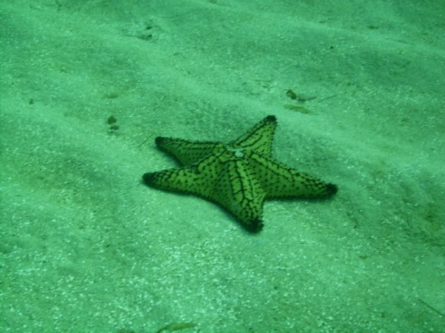 pict0128.jpg