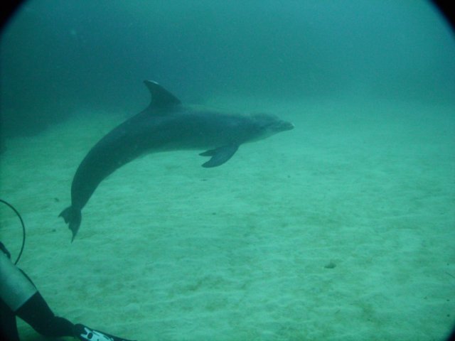 pict0142.jpg