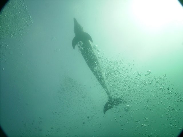 pict0158.jpg