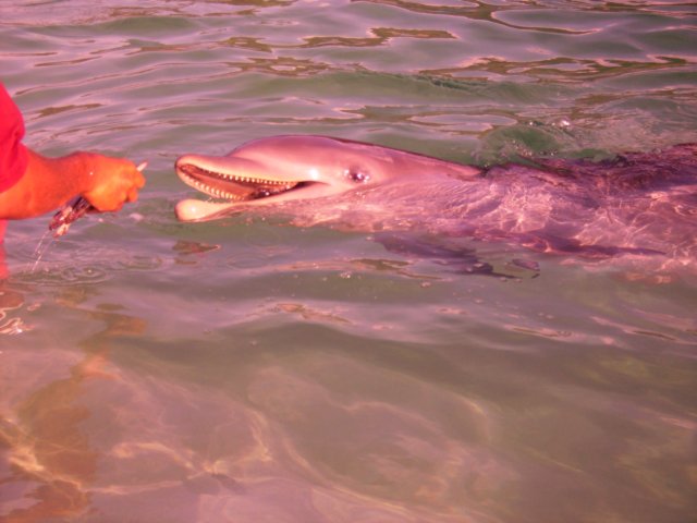 pict0180.jpg