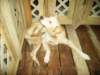pict0197_small.jpg
