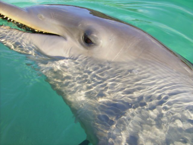 pict0202.jpg