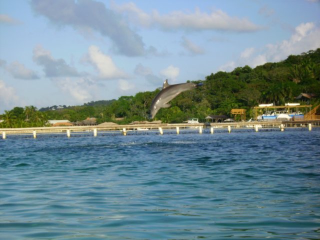 pict0205.jpg
