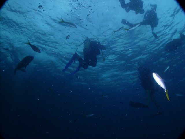 pict02072.jpg