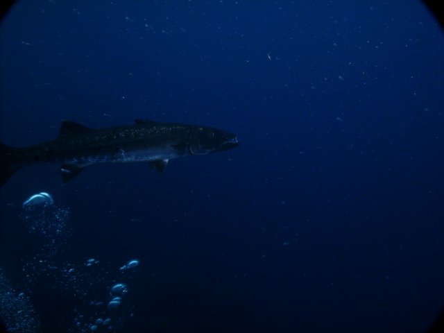 pict0213.jpg